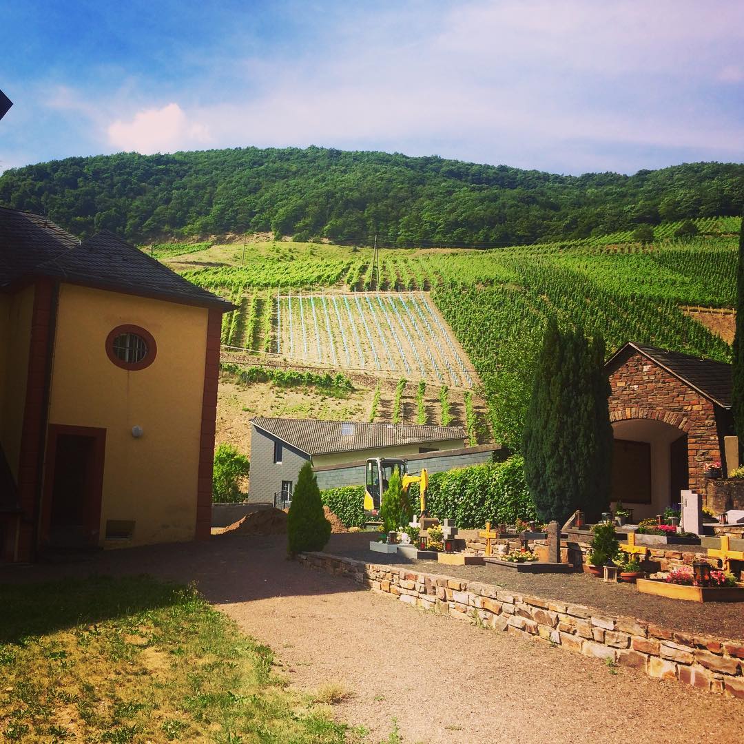 The steep hill vineyards in Senheim