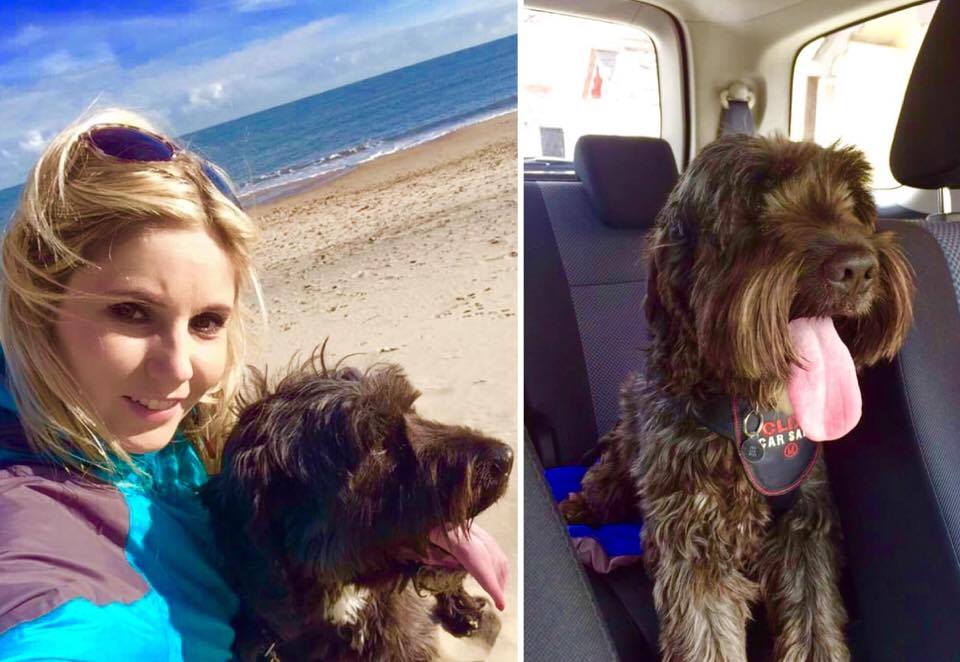 Interview on Pet Projects Ireland Podcast with Mark Robinson - LUAN PARLE LUAN PARLE - milo